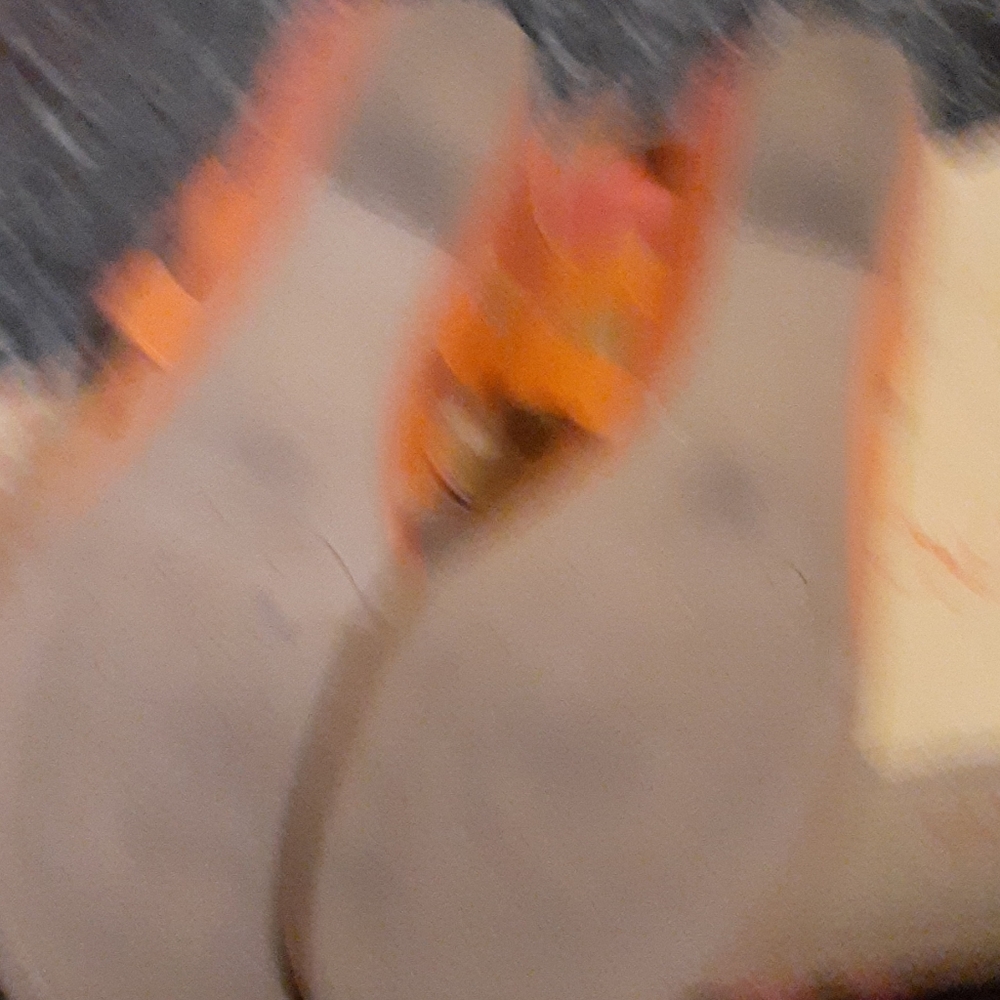 Sandals - Picture 4 of 4